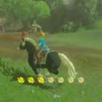 where can you find horses in zelda breath of the Wild?